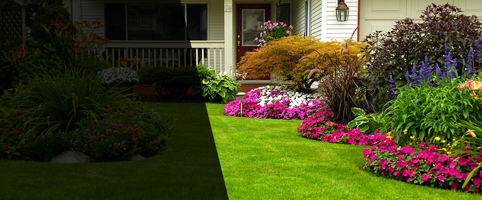 Vanceboro Landscapers