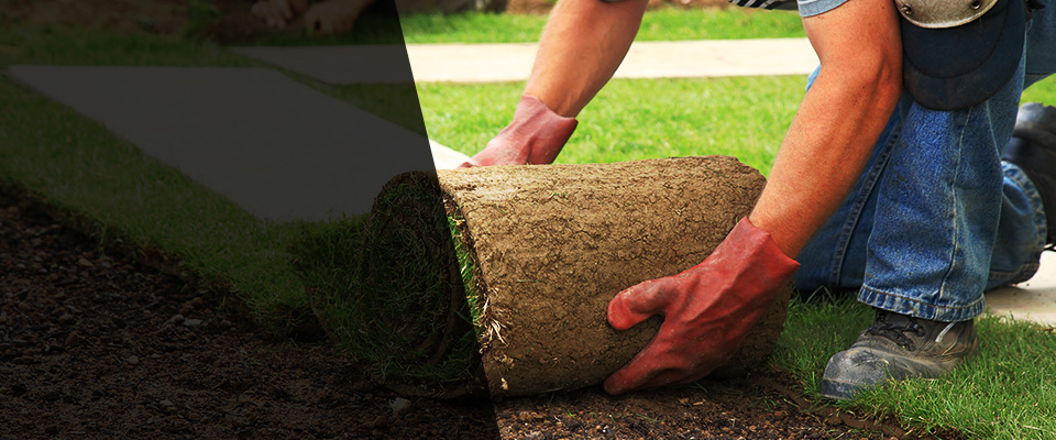 Vanceboro Landscapers